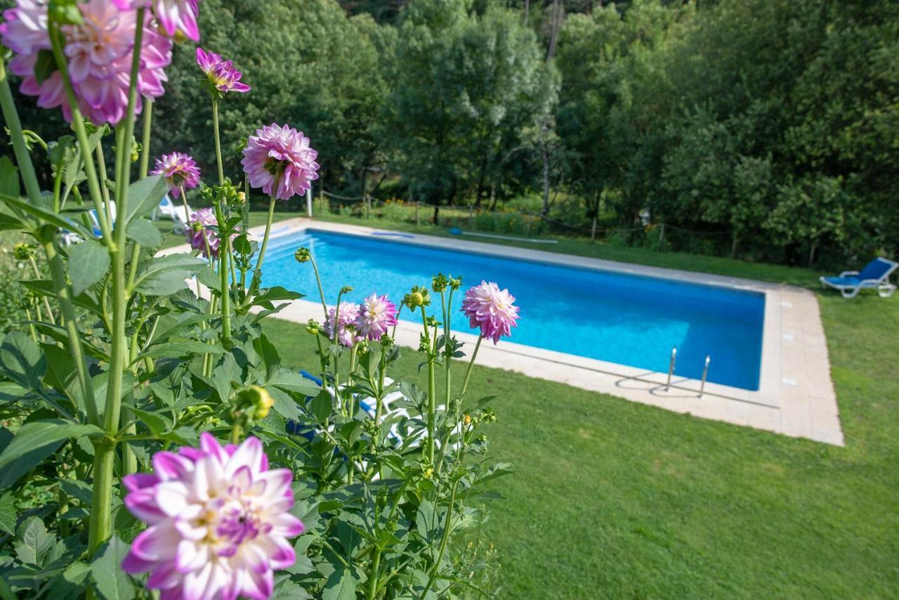 Quinta Da Rabacosa - Turismo Rural Castro Daire Eksteriør billede