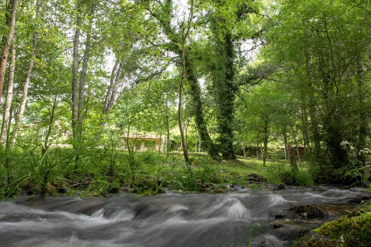 Quinta Da Rabacosa - Turismo Rural Castro Daire Eksteriør billede