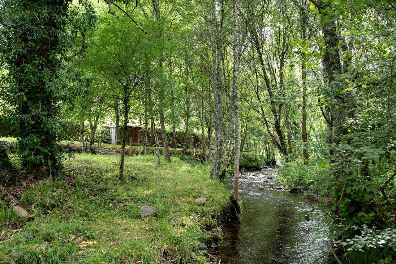 Quinta Da Rabacosa - Turismo Rural Castro Daire Eksteriør billede