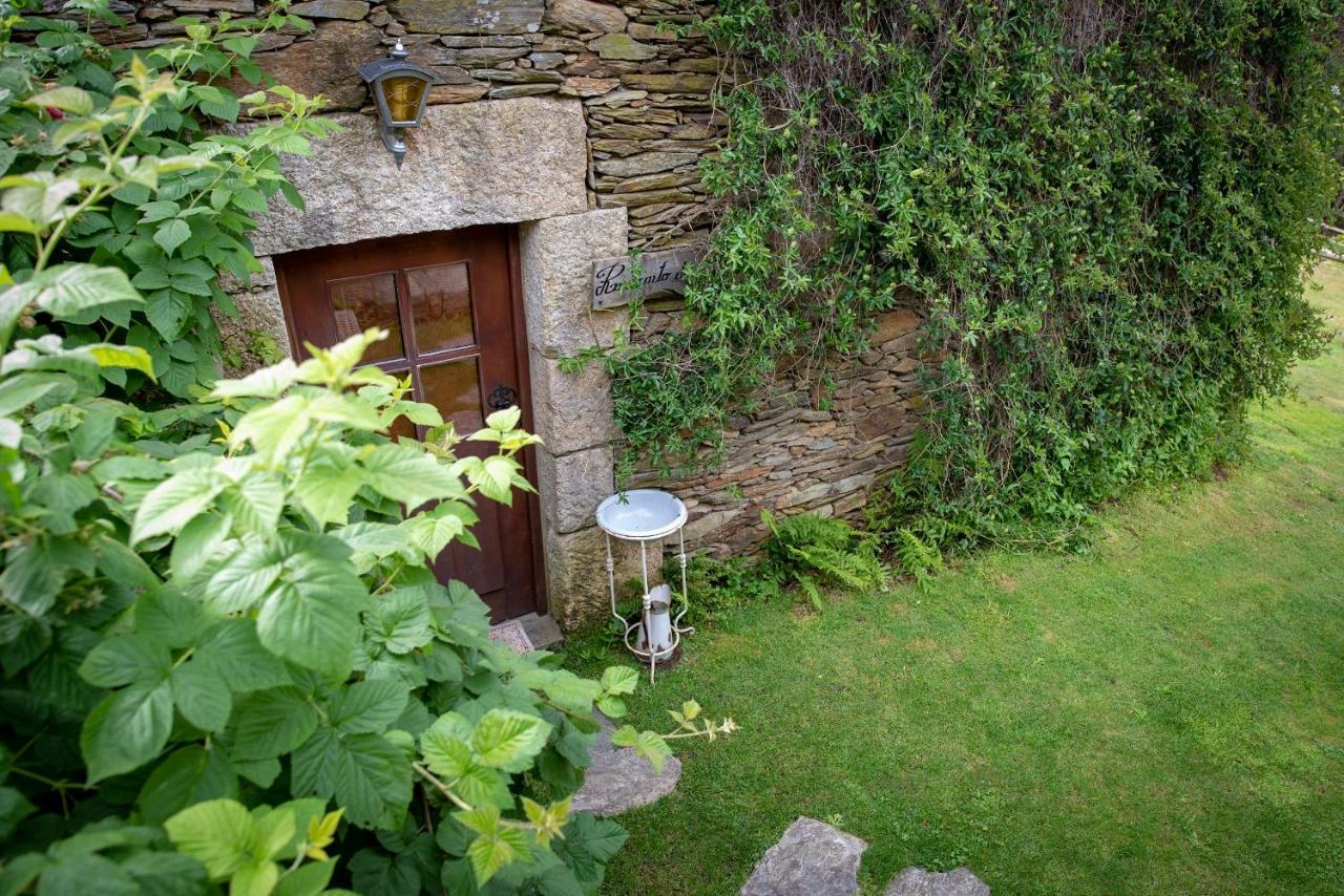 Quinta Da Rabacosa - Turismo Rural Castro Daire Eksteriør billede
