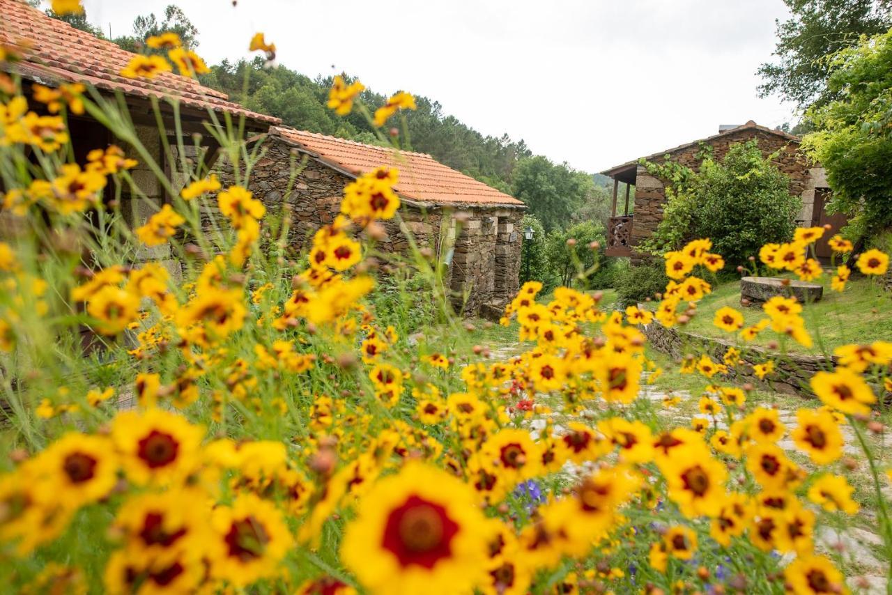 Quinta Da Rabacosa - Turismo Rural Castro Daire Eksteriør billede