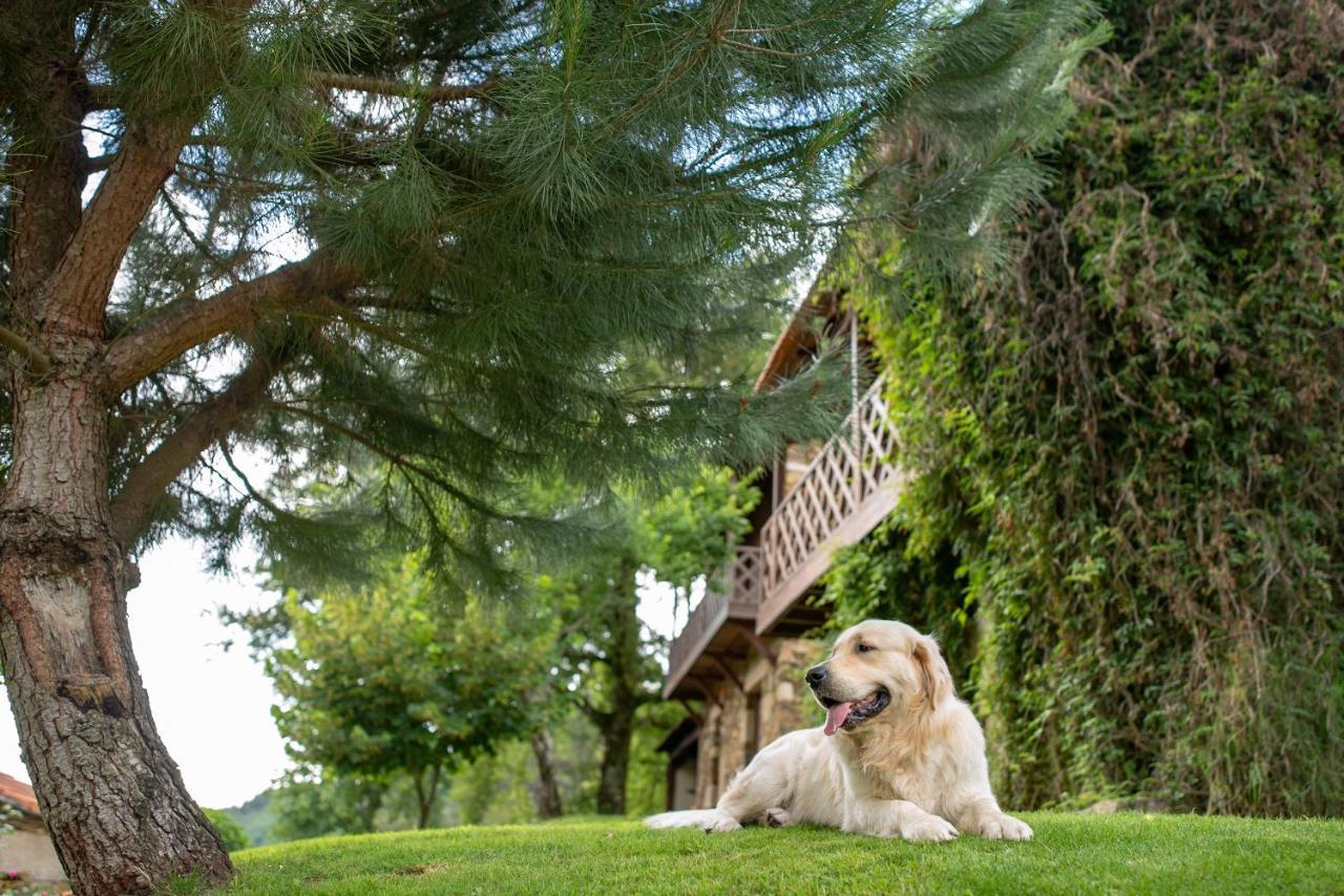 Quinta Da Rabacosa - Turismo Rural Castro Daire Eksteriør billede