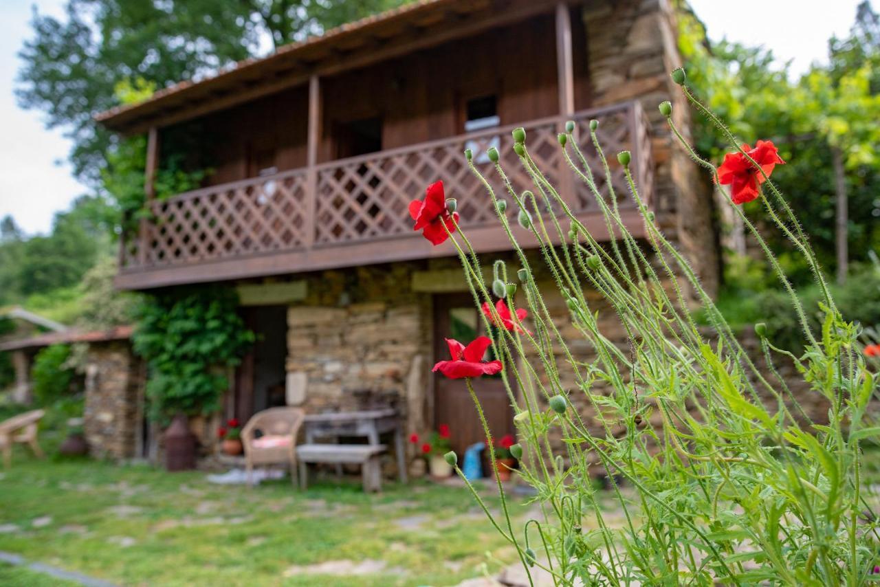 Quinta Da Rabacosa - Turismo Rural Castro Daire Eksteriør billede